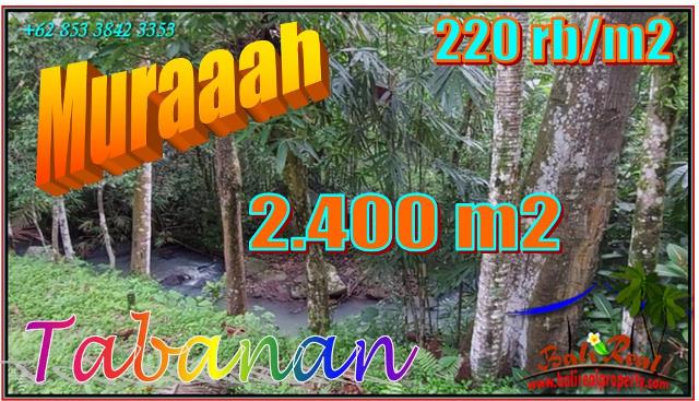 Magnificent PROPERTY LAND IN Penebel Tabanan FOR SALE TJTB551