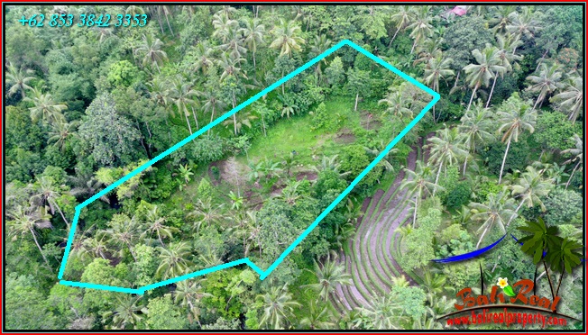 Magnificent PROPERTY LAND IN Penebel Tabanan FOR SALE TJTB551