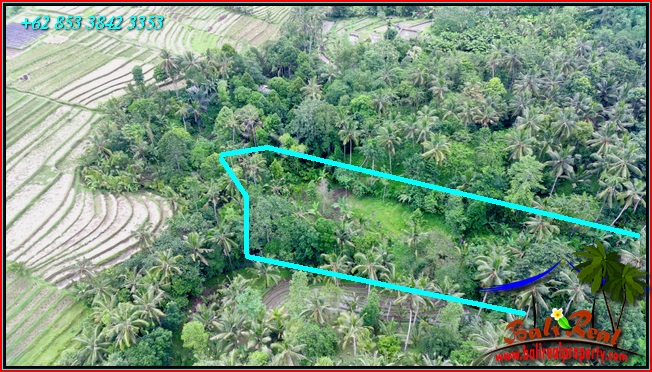 Magnificent PROPERTY LAND IN Penebel Tabanan FOR SALE TJTB551