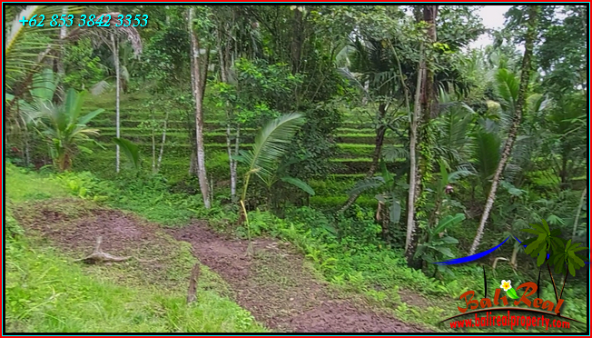 Magnificent PROPERTY LAND IN Penebel Tabanan FOR SALE TJTB551