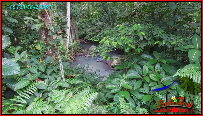 Magnificent PROPERTY LAND IN Penebel Tabanan FOR SALE TJTB551