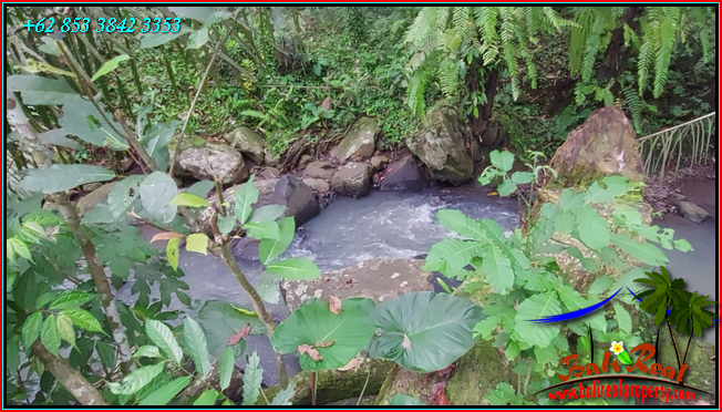 Magnificent PROPERTY LAND IN Penebel Tabanan FOR SALE TJTB551