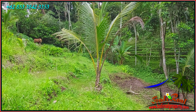 Magnificent PROPERTY LAND IN Penebel Tabanan FOR SALE TJTB551