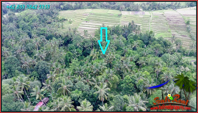 Magnificent PROPERTY LAND IN Penebel Tabanan FOR SALE TJTB551