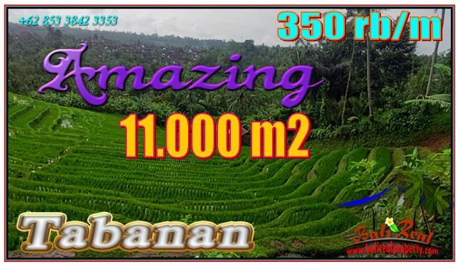 Beautiful LAND FOR SALE IN Pupuan Tabanan TJTB556