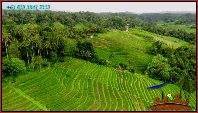 Beautiful LAND FOR SALE IN Pupuan Tabanan TJTB556