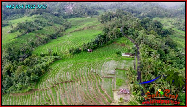 Beautiful LAND FOR SALE IN Pupuan Tabanan TJTB556