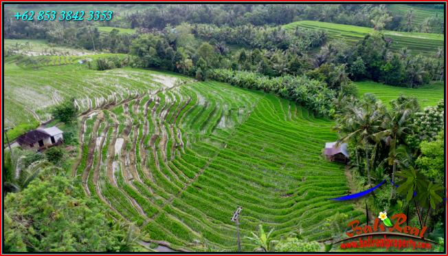 Beautiful LAND FOR SALE IN Pupuan Tabanan TJTB556