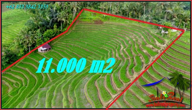 Beautiful LAND FOR SALE IN Pupuan Tabanan TJTB556