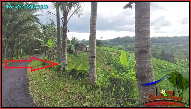 Beautiful LAND FOR SALE IN Pupuan Tabanan TJTB556