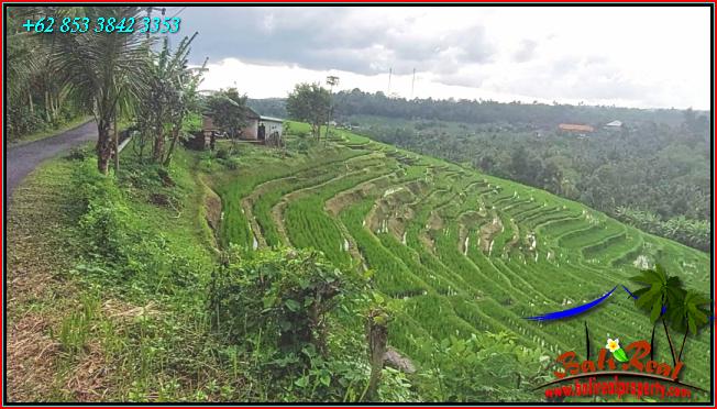 Beautiful LAND FOR SALE IN Pupuan Tabanan TJTB556