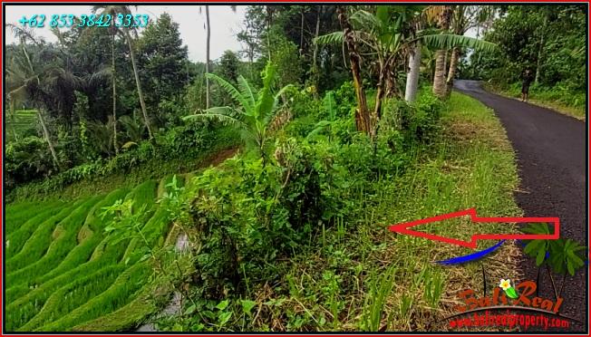 Beautiful LAND FOR SALE IN Pupuan Tabanan TJTB556