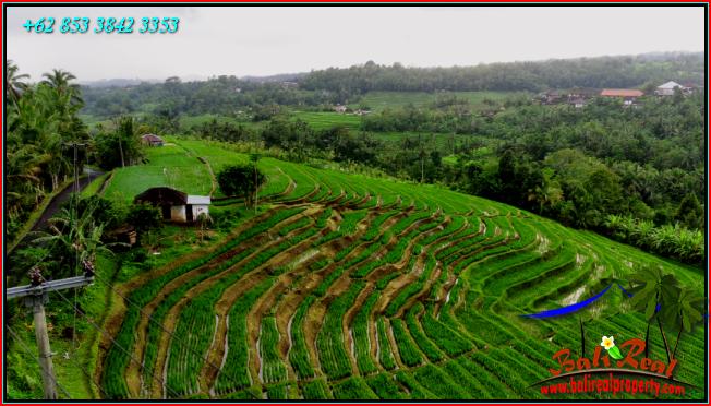 Beautiful LAND FOR SALE IN Pupuan Tabanan TJTB556