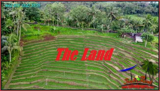 Beautiful LAND FOR SALE IN Pupuan Tabanan TJTB556