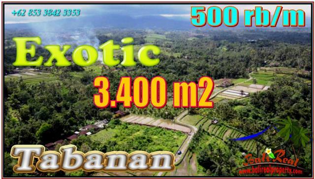 Exotic LAND IN TABANAN BALI FOR SALE TJTB557