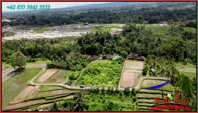 Exotic LAND IN TABANAN BALI FOR SALE TJTB557