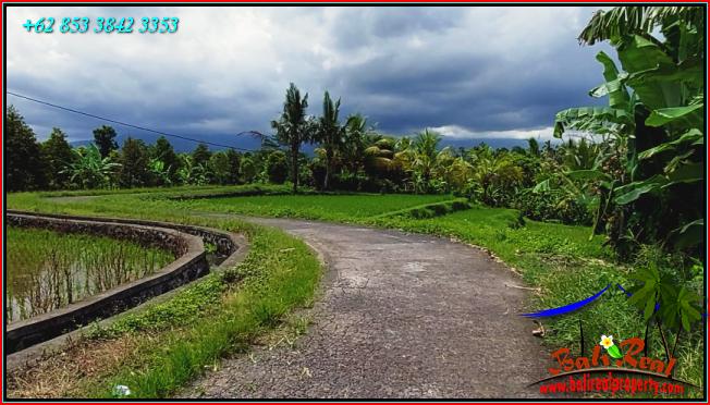 Exotic LAND IN TABANAN BALI FOR SALE TJTB557