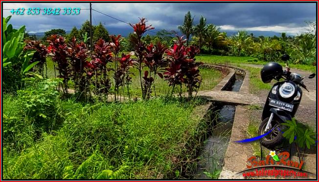 Exotic LAND IN TABANAN BALI FOR SALE TJTB557