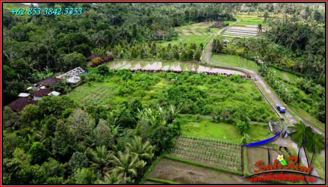 Exotic LAND IN TABANAN BALI FOR SALE TJTB557