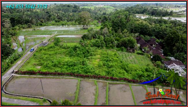 Exotic LAND IN TABANAN BALI FOR SALE TJTB557