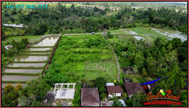 Exotic LAND IN TABANAN BALI FOR SALE TJTB557