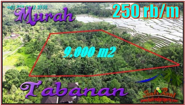 Beautiful 9,000 m2 LAND SALE IN Penebel Tabanan  BALI TJTB558