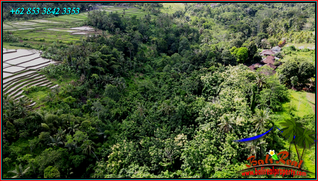 Beautiful 9,000 m2 LAND SALE IN Penebel Tabanan  BALI TJTB558