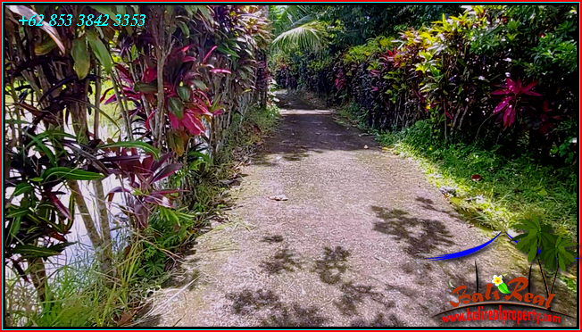 Beautiful 9,000 m2 LAND SALE IN Penebel Tabanan  BALI TJTB558