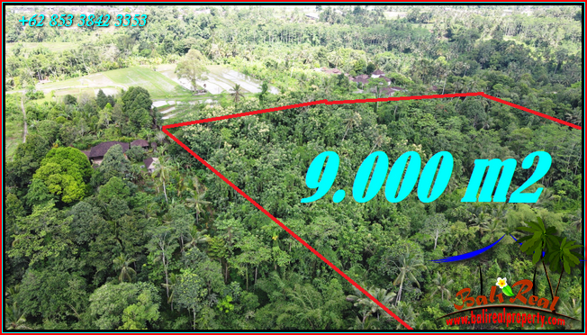 Beautiful 9,000 m2 LAND SALE IN Penebel Tabanan  BALI TJTB558