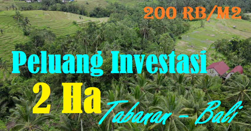 Beautiful PROPERTY LAND SALE IN Penebel Tabanan TJTB566