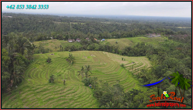 Beautiful PROPERTY LAND SALE IN Penebel Tabanan TJTB566