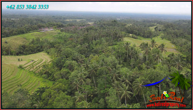 Beautiful PROPERTY LAND SALE IN Penebel Tabanan TJTB566