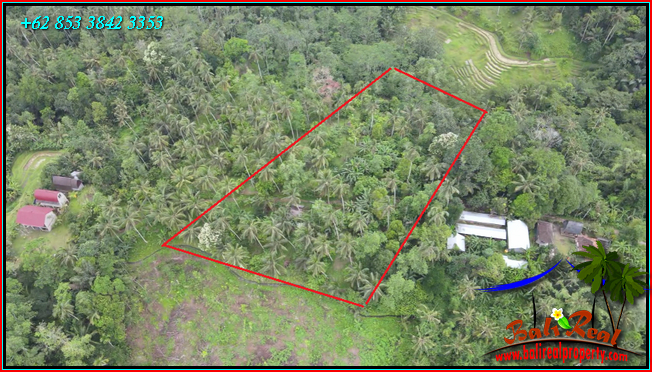 Beautiful PROPERTY LAND SALE IN Penebel Tabanan TJTB566