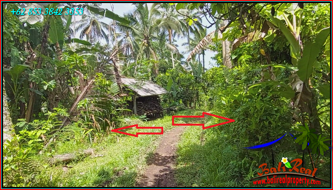 Beautiful PROPERTY LAND SALE IN Penebel Tabanan TJTB566