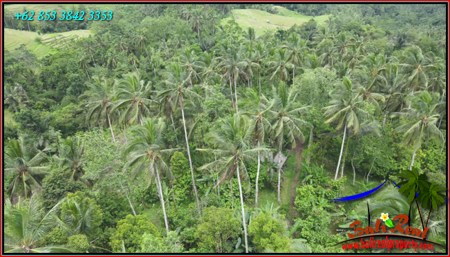 Beautiful PROPERTY LAND SALE IN Penebel Tabanan TJTB566