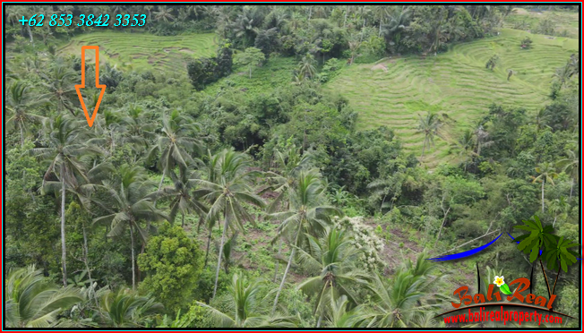 Beautiful PROPERTY LAND SALE IN Penebel Tabanan TJTB566