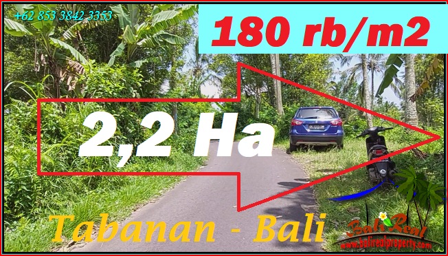 FOR SALE Affordable PROPERTY 21,500 m2 LAND IN Penebel Tabanan BALI TJTB567