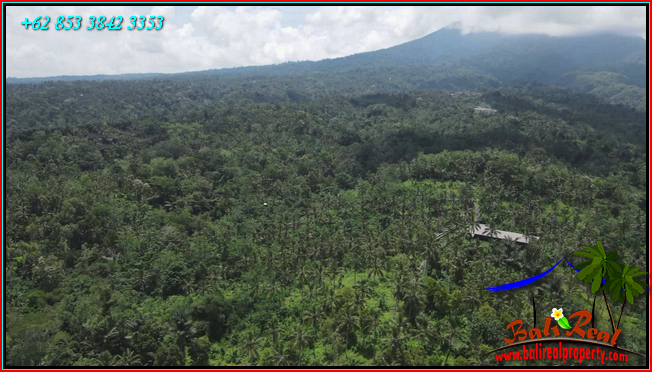 FOR SALE Affordable PROPERTY 21,500 m2 LAND IN Penebel Tabanan BALI TJTB567