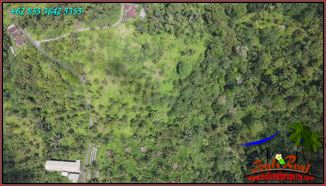 FOR SALE Affordable PROPERTY 21,500 m2 LAND IN Penebel Tabanan BALI TJTB567