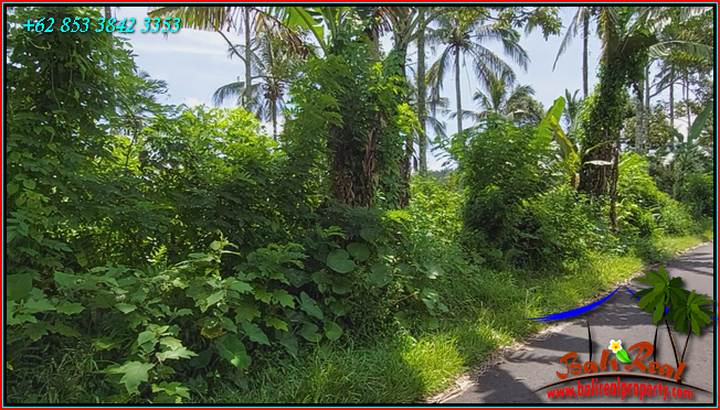 FOR SALE Affordable PROPERTY 21,500 m2 LAND IN Penebel Tabanan BALI TJTB567