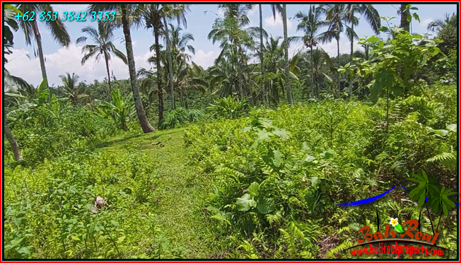 FOR SALE Affordable PROPERTY 21,500 m2 LAND IN Penebel Tabanan BALI TJTB567