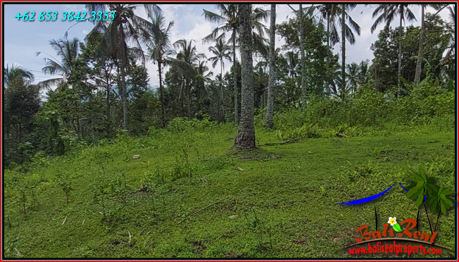 FOR SALE Affordable PROPERTY 21,500 m2 LAND IN Penebel Tabanan BALI TJTB567