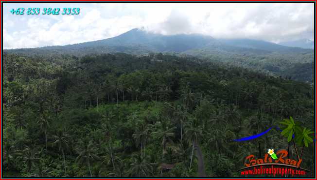 FOR SALE Affordable PROPERTY 21,500 m2 LAND IN Penebel Tabanan BALI TJTB567