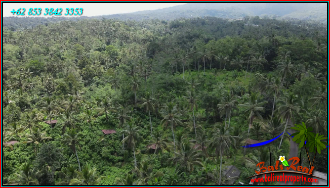 FOR SALE Affordable PROPERTY 21,500 m2 LAND IN Penebel Tabanan BALI TJTB567