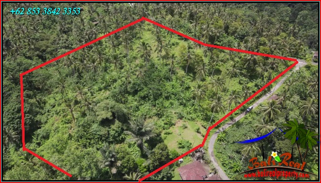 FOR SALE Affordable PROPERTY 21,500 m2 LAND IN Penebel Tabanan BALI TJTB567