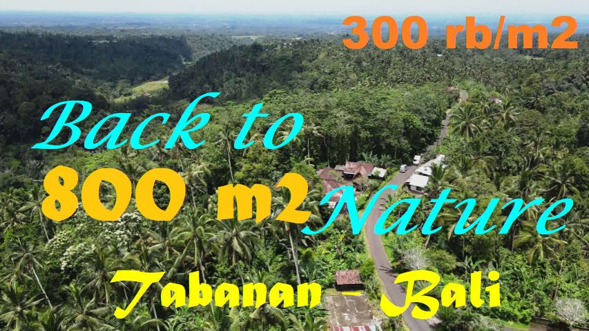 Magnificent PROPERTY LAND IN Penebel Tabanan BALI FOR SALE TJTB568