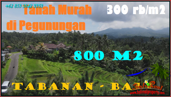 Magnificent PROPERTY LAND IN Penebel Tabanan BALI FOR SALE TJTB568