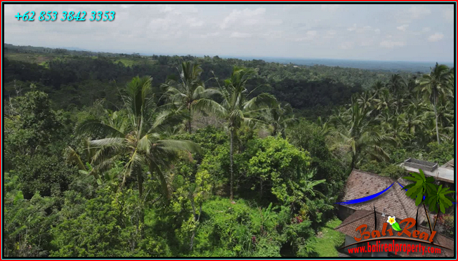 Magnificent PROPERTY LAND IN Penebel Tabanan BALI FOR SALE TJTB568