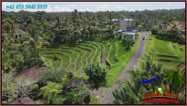 Magnificent PROPERTY LAND IN Penebel Tabanan BALI FOR SALE TJTB568