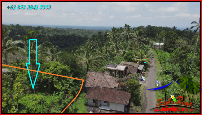 Magnificent PROPERTY LAND IN Penebel Tabanan BALI FOR SALE TJTB568